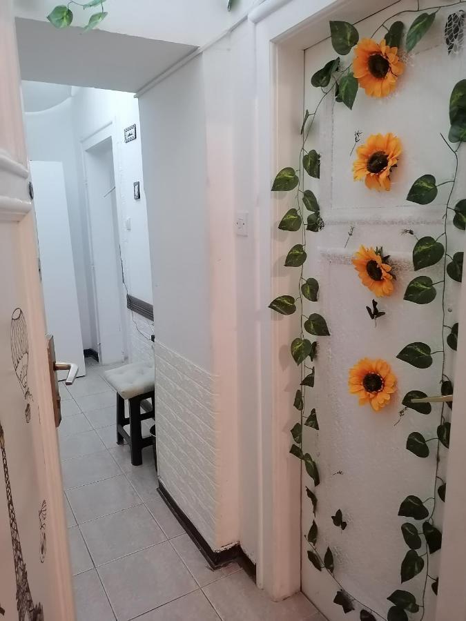 Low Cost Apartment Belgrad Exterior foto
